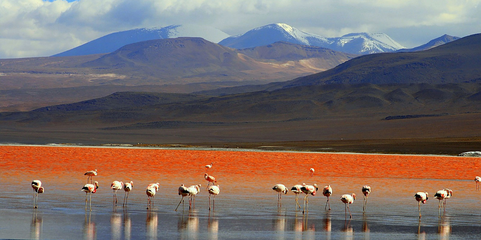 Humedal Ramsar: laguna Vilama, Jujuy